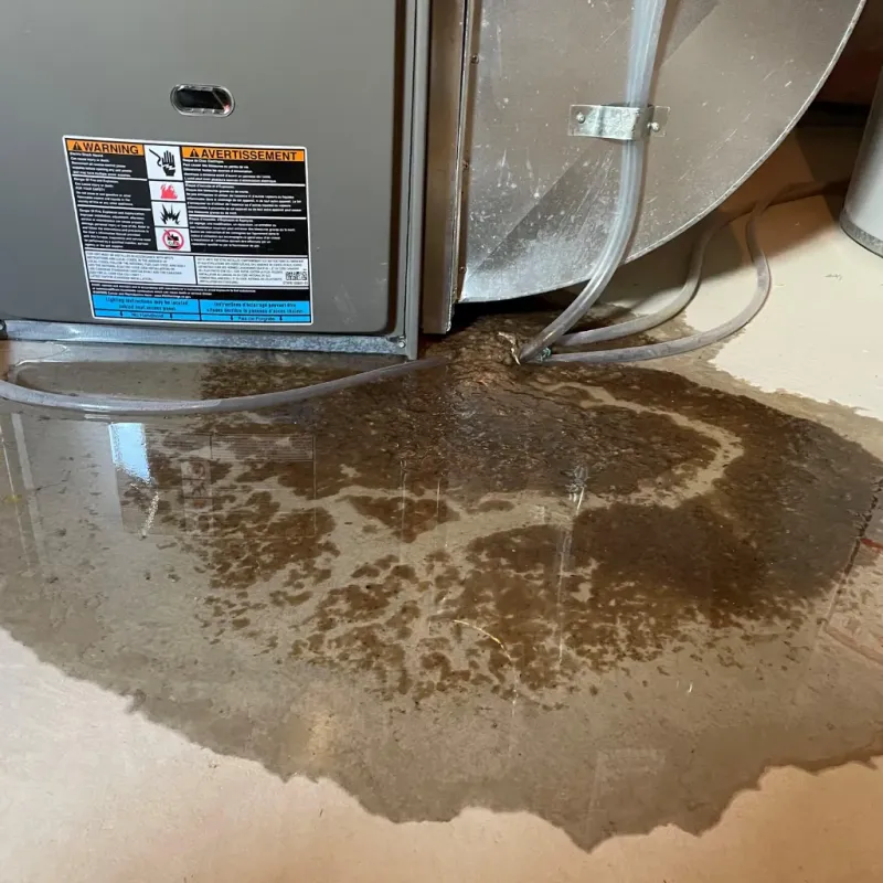 Appliance Leak Cleanup in Hertford County, NC